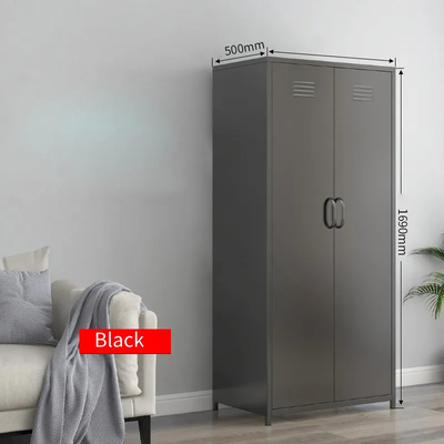 Zwei Tür-Schlafzimmer-Hauptgebrauchs-Metallschließfach-Kabinett modern